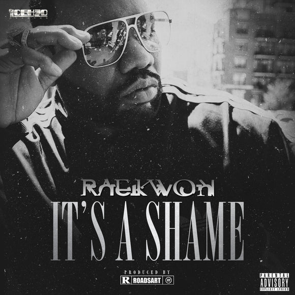 Raekwon - It's a Shame